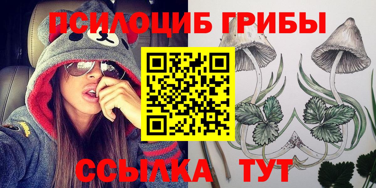 Фурманов  Галлюциногенные грибы мухоморы  Вход с VPN 